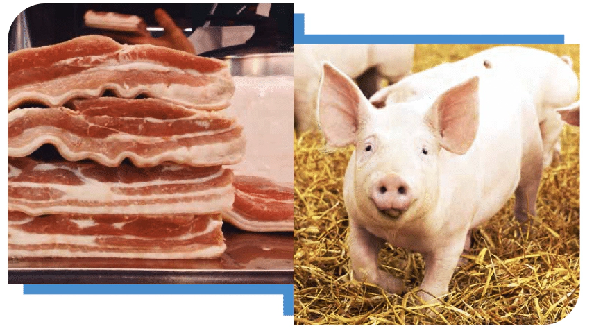 Screen Shot 2022-03-10 at 12.35.56 PM