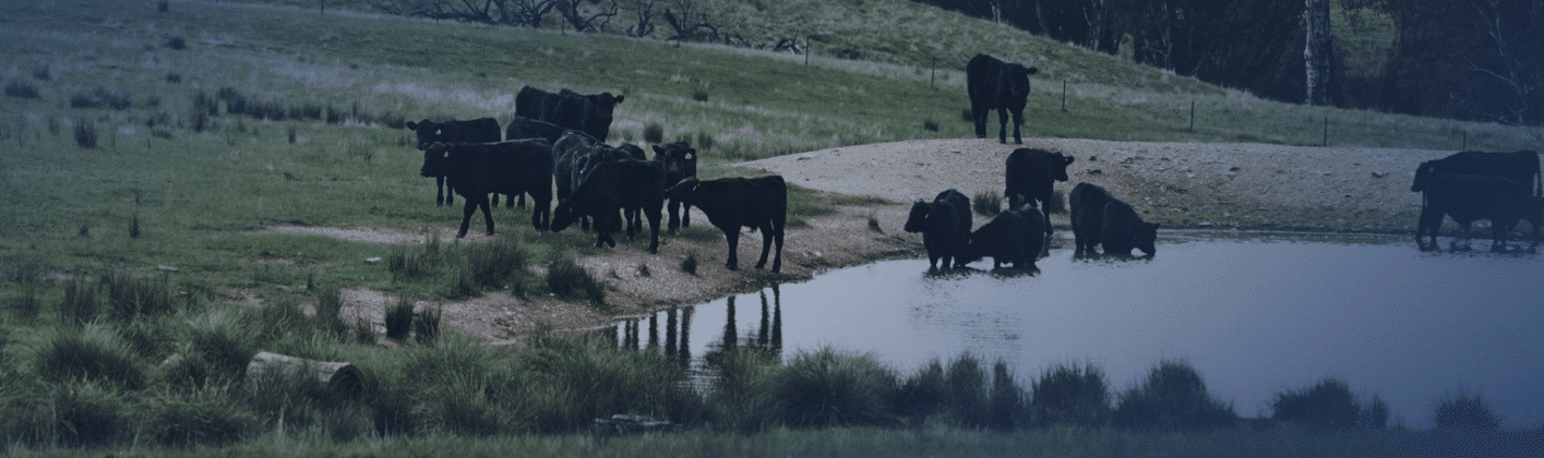 Screen Shot 2022-03-10 at 12.25.04 PM