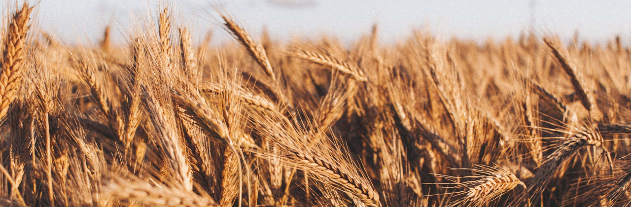 dn_hdr-blog_pr-david-boussios_220502 1