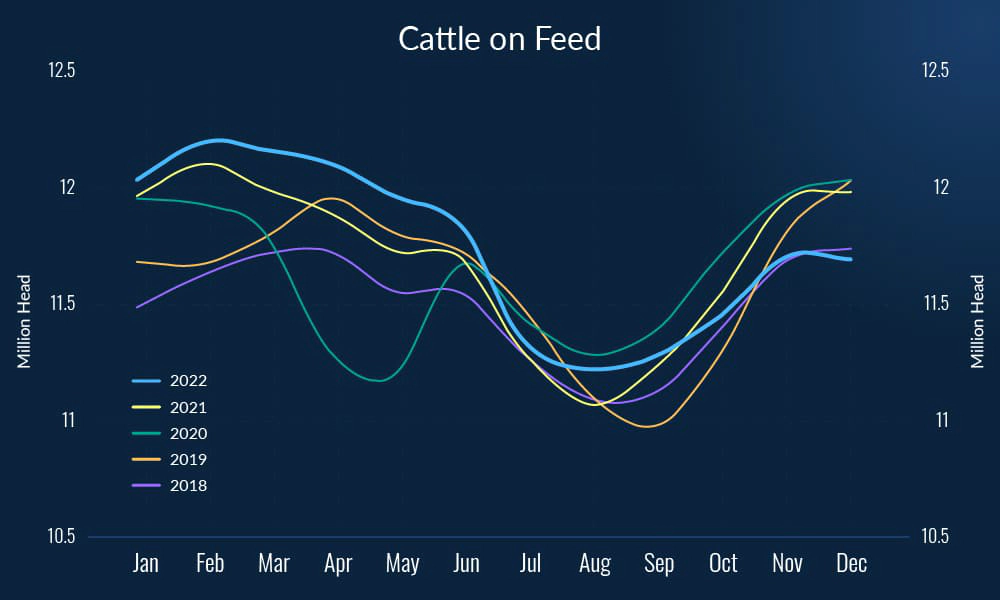 Figure-4.-Cattle-on-Feed