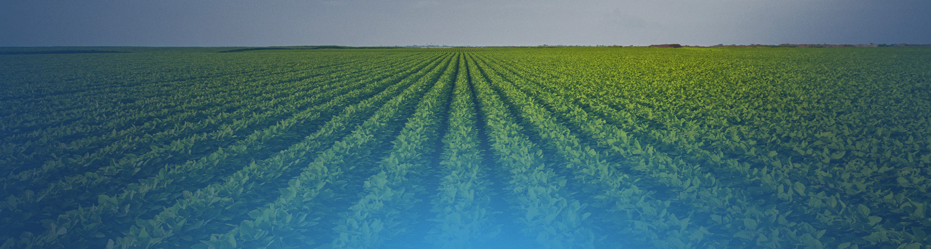 article_header_Time-Series_230411 1