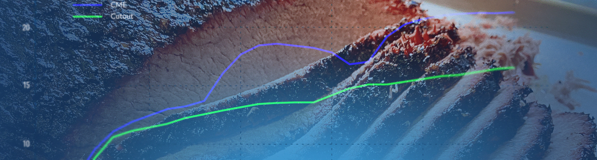 blog_header_backtesting 1