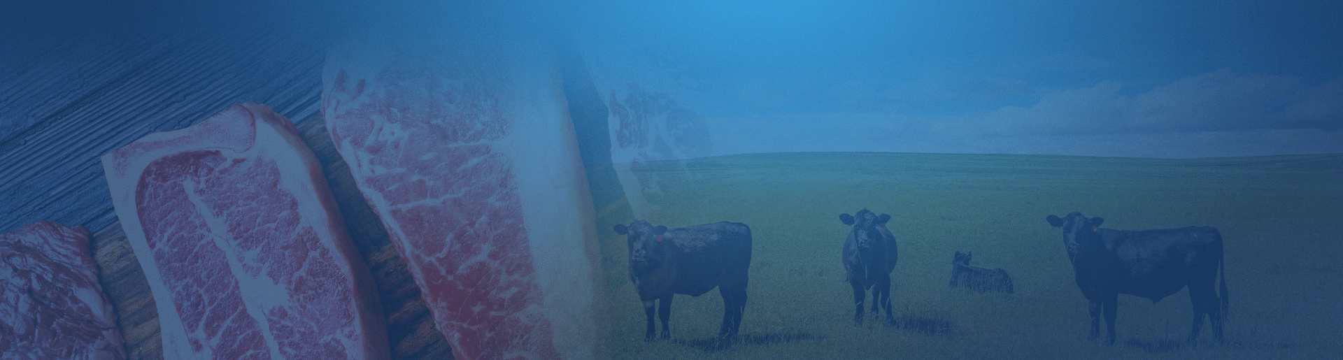 blog_cattle-slaughter