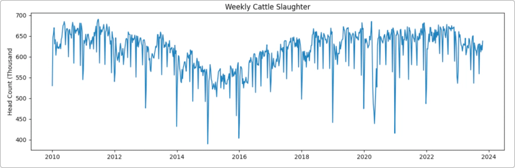fig-01_weekly-cow-slaughter-1024x335