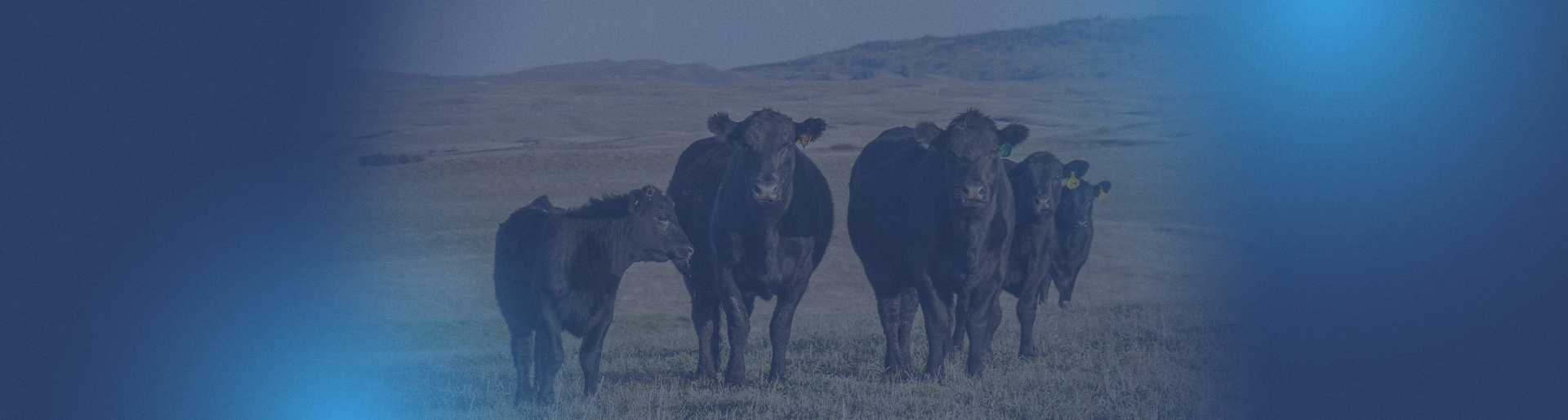 blog_header_summer-turbulence_1920x1080