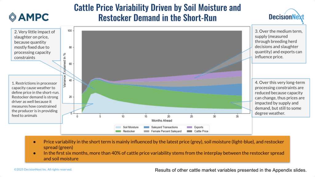 Chart graphic cattle price variability driven by soil moisture